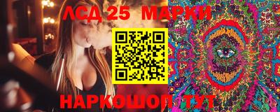 бошки Тверь