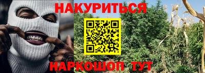 бошки Тверь