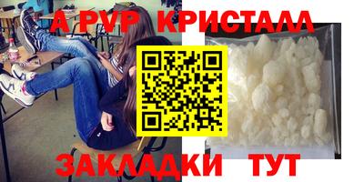 бошки Тверь