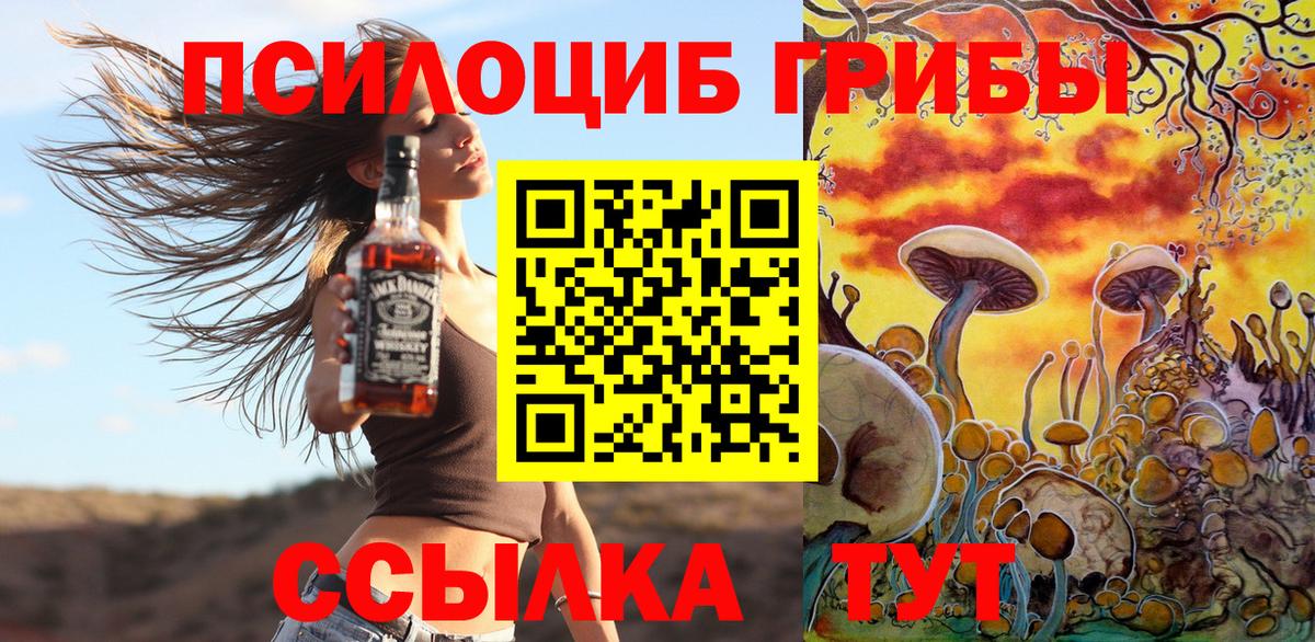 Псилоцибиновые грибы Psilocybine cubensis Асино