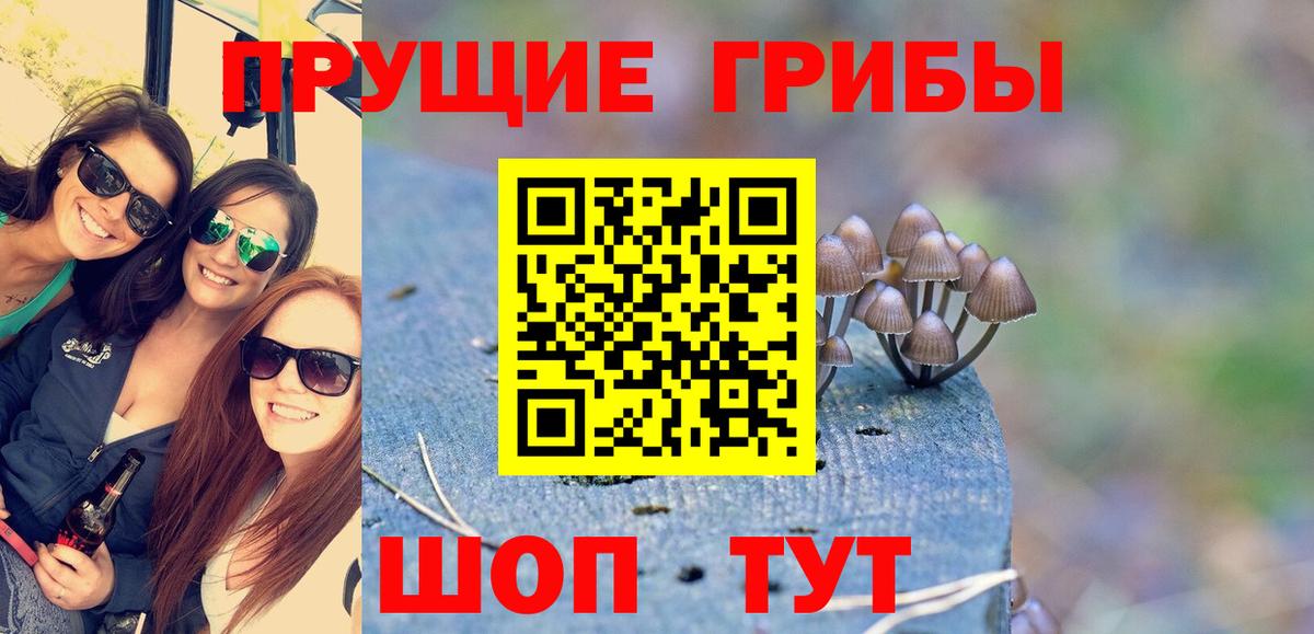 Псилоцибиновые грибы мицелий  Вход с VPN  Асино 